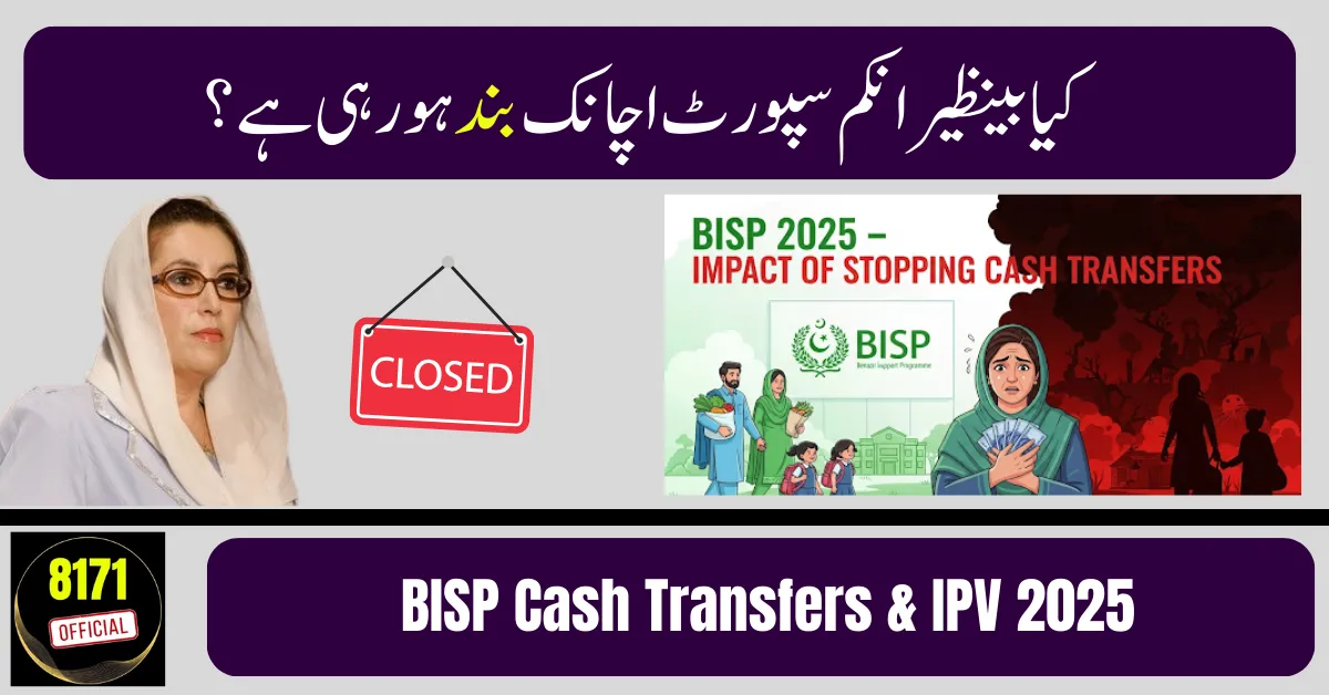 BISP Cash Transfers &amp; IPV 2025