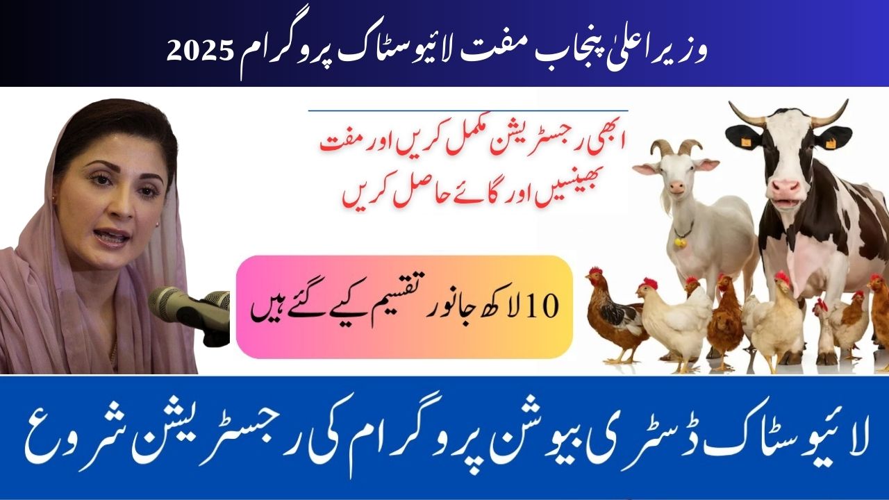 CM Punjab Free Livestock Program 2025