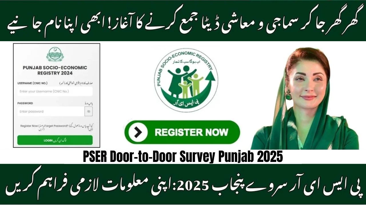 PSER Survey 2025 Punjab