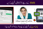 8171 SMS Service