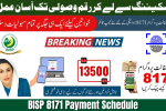 BISP 8171 Payment Schedule