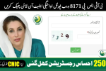 BISP 8171 Web Portal Payment Eligibility Check Online