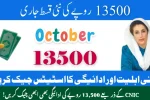BISP Check 13 500