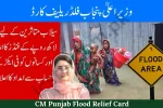 CM Punjab Flood Relief Card