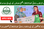 CM Punjab Minority Card 2025