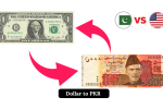 Dollar to PKR: Latest Exchange Rate Update