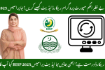 Update Your Information in BISP Record