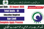 Punjab Social Protection Authority Programs 2025