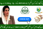 Track Your BISP Cash 13,500 Through 8171