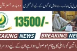 8171 BISP Payment Re-Registration 2025 for Ineligible Beneficiaries