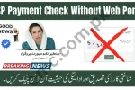 BISP Payment Check Without Portal