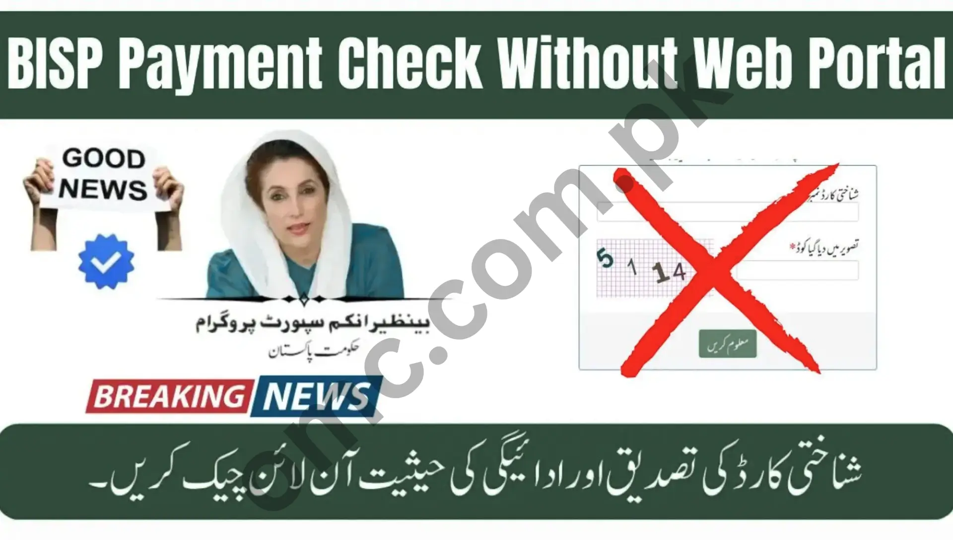 BISP Payment Check Without Portal