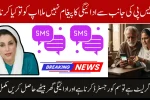 BISP 8171 Resolve SMS Issues And Why Payment Is Late