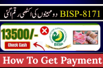 BISP November–December Validation