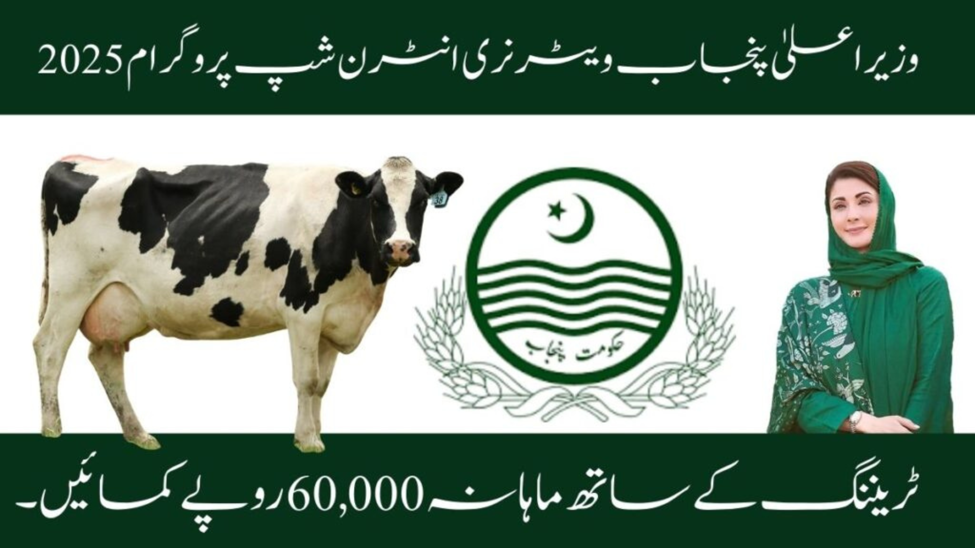 CM Punjab Veterinary Internship Program 2025 – Earn Rs.60,000 Monthly with Hands-On Training