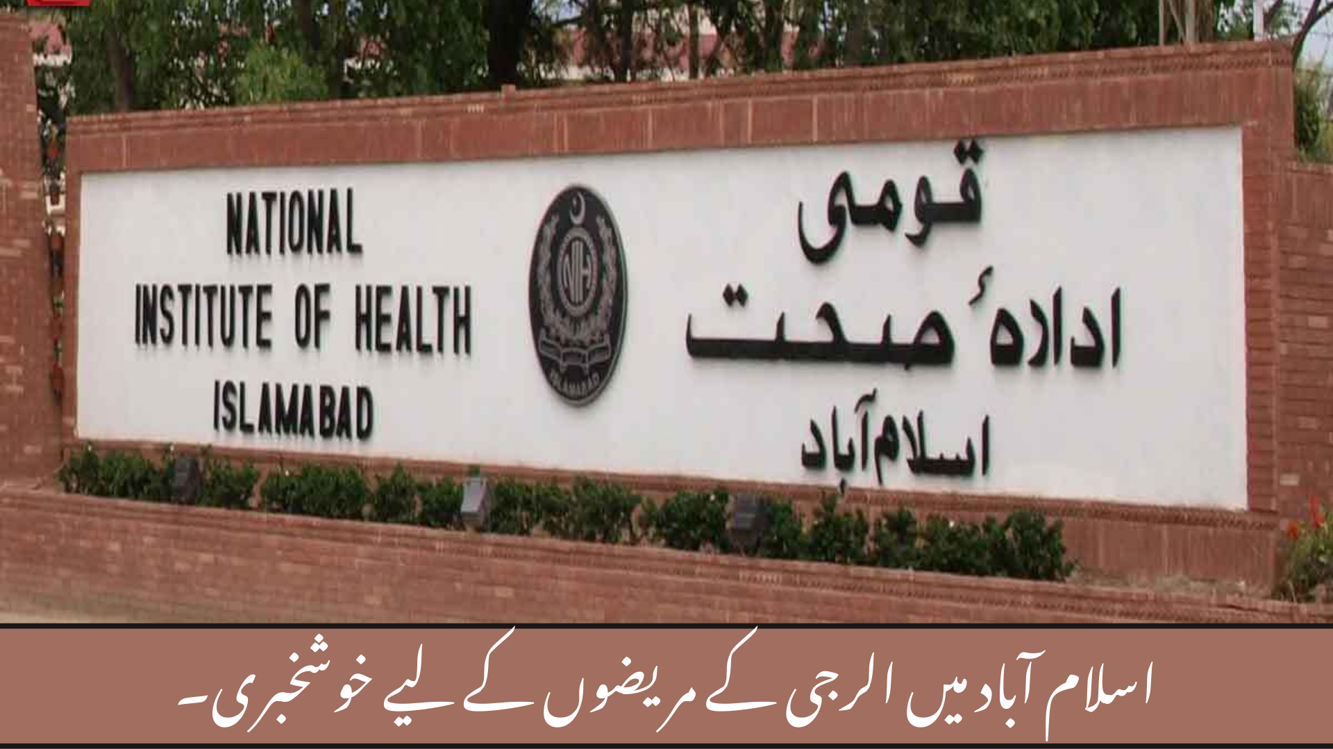Good News for Allergy Patients in Islamabad