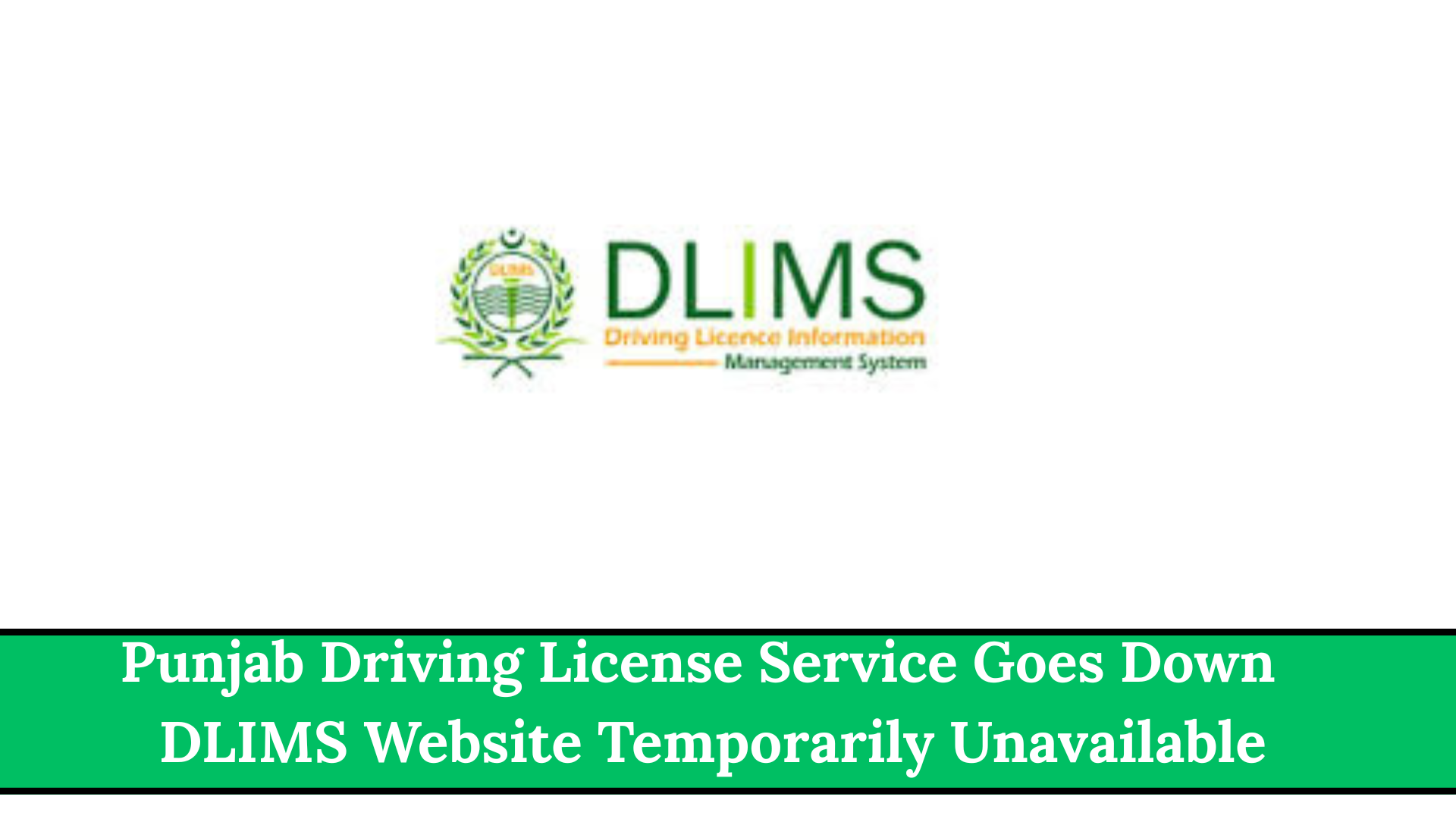 Punjab Driving License Service Goes Down