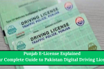 Punjab E-License Explained